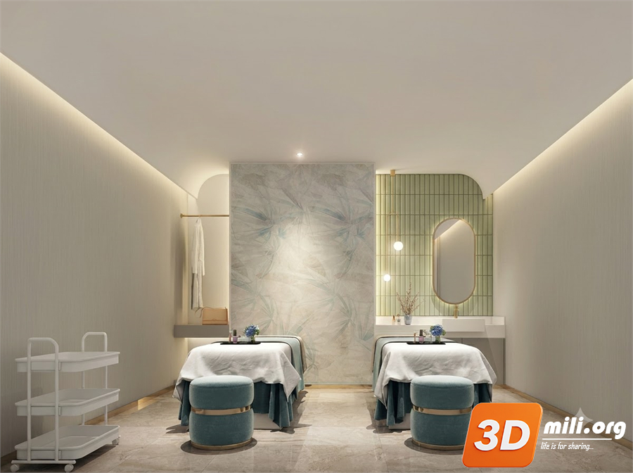 Spa Skp Files 